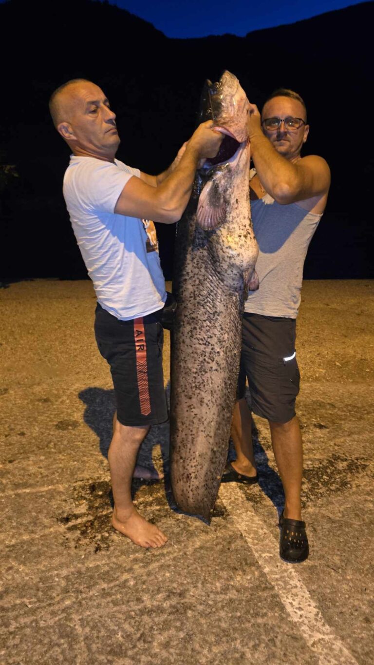 KAPITALAC KOD MOSTARA: Ribari u Salakovcu izvukli soma dugog čak 196 centimetara i teškog oko 50 kilograma