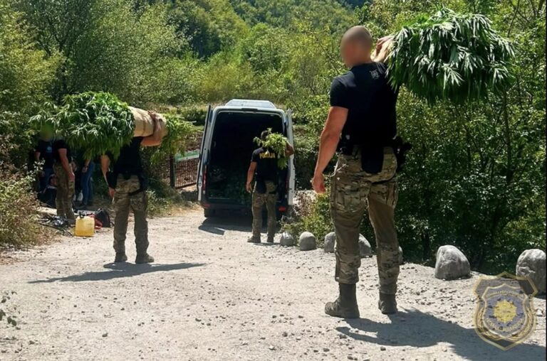 FUP objavio detalje velike akcije kod Mostara: Pronađeno 1.679 stabljika kanabisa na 12 plantaža