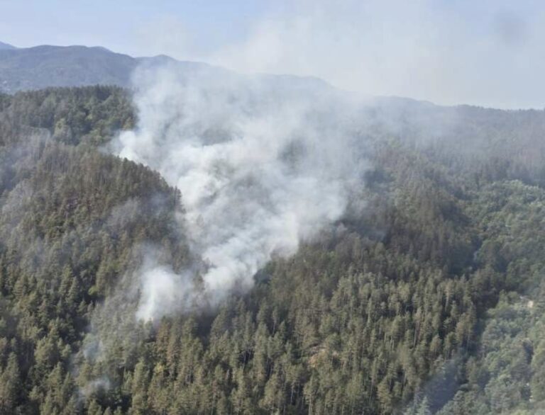 Požar na Čvrsnici i dalje aktivan, čeka se pomoć helikoptera OS BiH